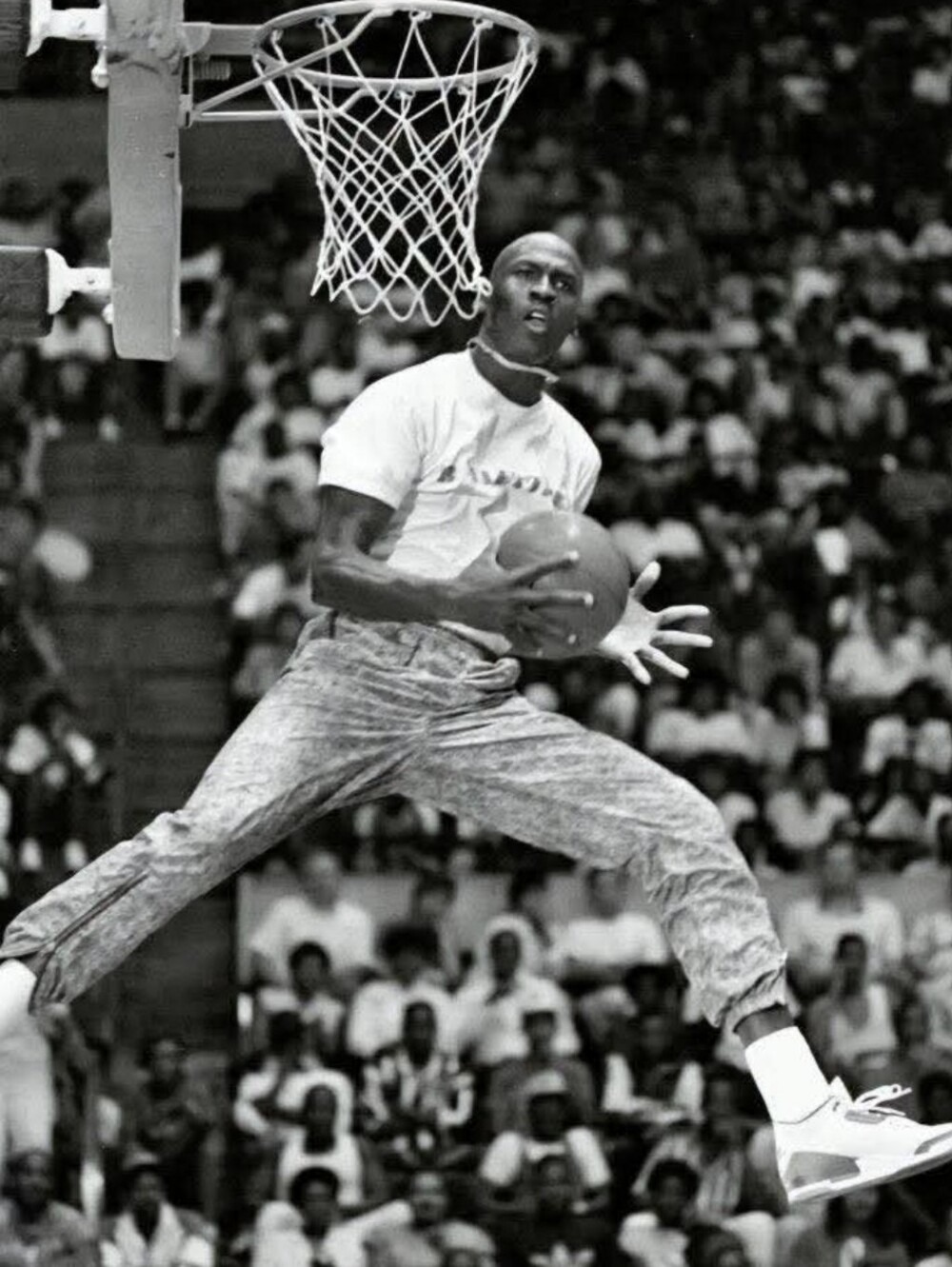 MICHAEL JORDAN & LEBRON JAMES VINTAGE ULTRA GLOSSY 8.5x11 GREATNESS POSTER SET!